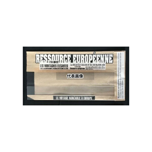 大阪ポリエチレン販売 5463 サンドウィッチ袋 No.205 フェネットサンド窓ワイド(ヨーロピアン)1ケース(100個×10セット入)