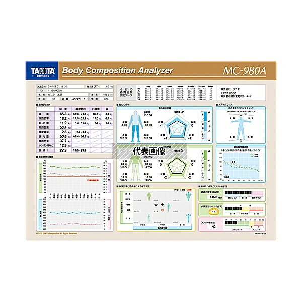 タニタ 業務用MC−980A専用印刷用紙 ブラウン MC-980A-01 1個|セミプロDIY店ファースト