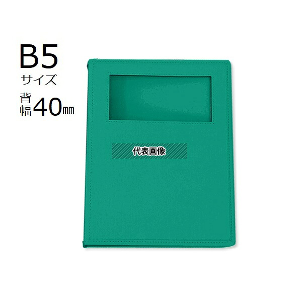 サンリーフ SKW-540-26GR カルテブック(ウィンドウタイプ) B5 26穴 グリーン 8冊入