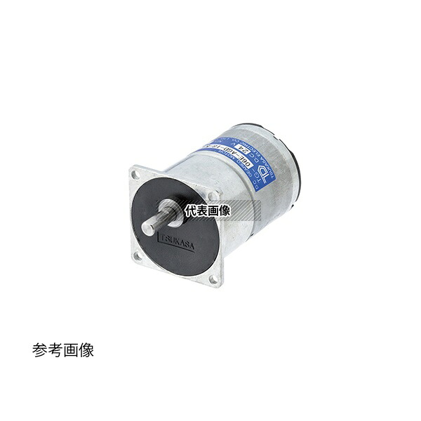 ツカサ電工 TG-06D-AGD-100-HA、12V DCギヤドモータ