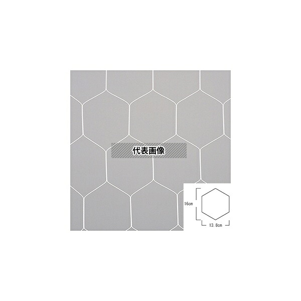 エバニュー EKD841 一般サッカーゴールネット亀甲 S115 [法人限定]｜セミプロＤＩＹ店ファースト