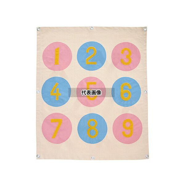 トッケン 21014 壁掛けピッチング