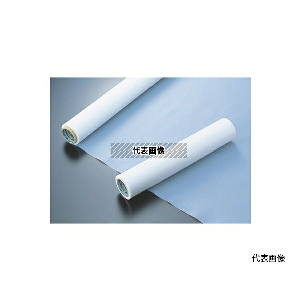 中興化成工業 MSF100-0.3X500 フッ素樹脂(PTFE)フィルム MSF-100 0.3tX500wX10M [法人限定]｜セミプロＤＩＹ店ファースト