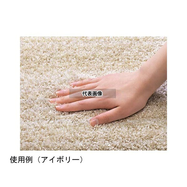 スミノエ 13440063 防炎 防音 ナイロンラグ リュストル 140×200cm楕円 ピンク [法人限定] 24,710円