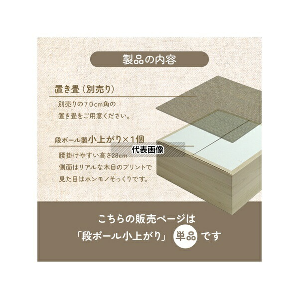 アズワン(ASONE) 1.04037E+12 段ボール製小上がり 無地