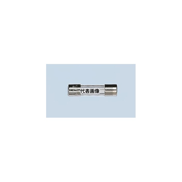 Littelfuse 312.100P リテルヒューズ ガラス管ヒューズ 100mA (速断型) 6.3x32mm 1袋(10個入)｜セミプロＤＩＹ店ファースト