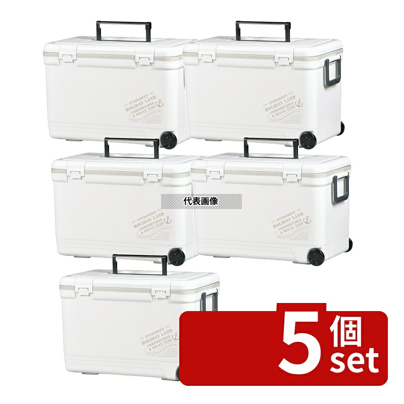 【5個セット】伸和 ホリデーランドクーラー 27H 060194 ホワイト 27L 540×295×H349 クーラー No.1039721|セミプロDIY店ファースト