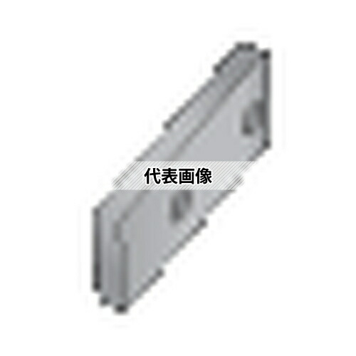 タンガロイ TAC工具部品 (シムシート) AP21020