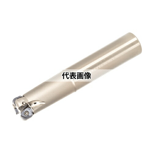 ガーデニング特集 芝刈り機が今一般受けです 花・ガーデン・DIY-電動・エア工具用アクセサリー-DIY・工具