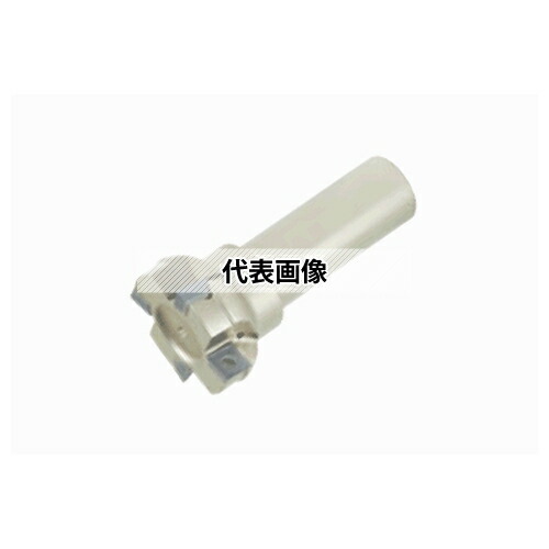 ガーデニング特集 芝刈り機が今一般受けです DIY・工具-花・ガーデン・DIY-電動・エア工具用アクセサリー