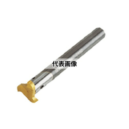 タンガロイ 柄付TACミル VSC type VSC100L100S06-C