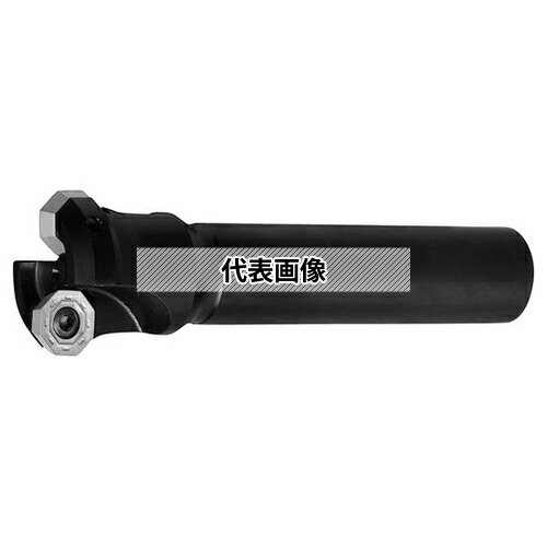 ガーデニング特集 芝刈り機が今一般受けです その他-電動・エア工具用アクセサリー