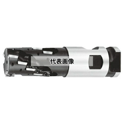 オーエスジー(OSG) OSG-WALTER ポーキュパイン ネオ BTシャンク F3038B 50XCN50.8X98 (8003121｜セミプロＤＩＹ店ファースト