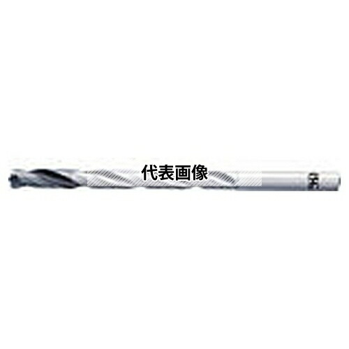 ガーデニング特集 芝刈り機が今一般受けです ドリル-DIY・工具