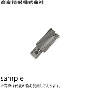 ガーデニング特集 芝刈り機が今一般受けです DIY・工具-電動工具本体-花・ガーデン・DIY