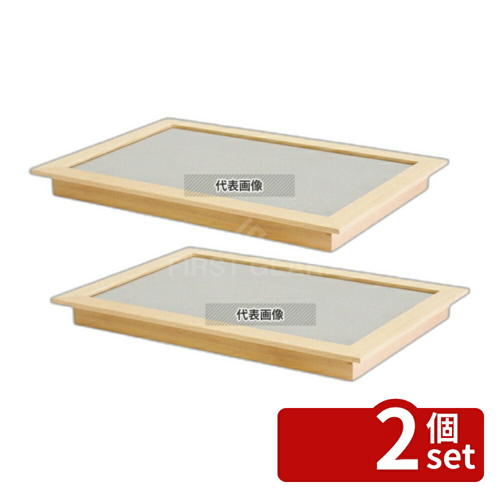 【2個セット】江部松商事 クーリングプレート 涼 1/1 CT100J CT100J 615×410×H54 No.1029900