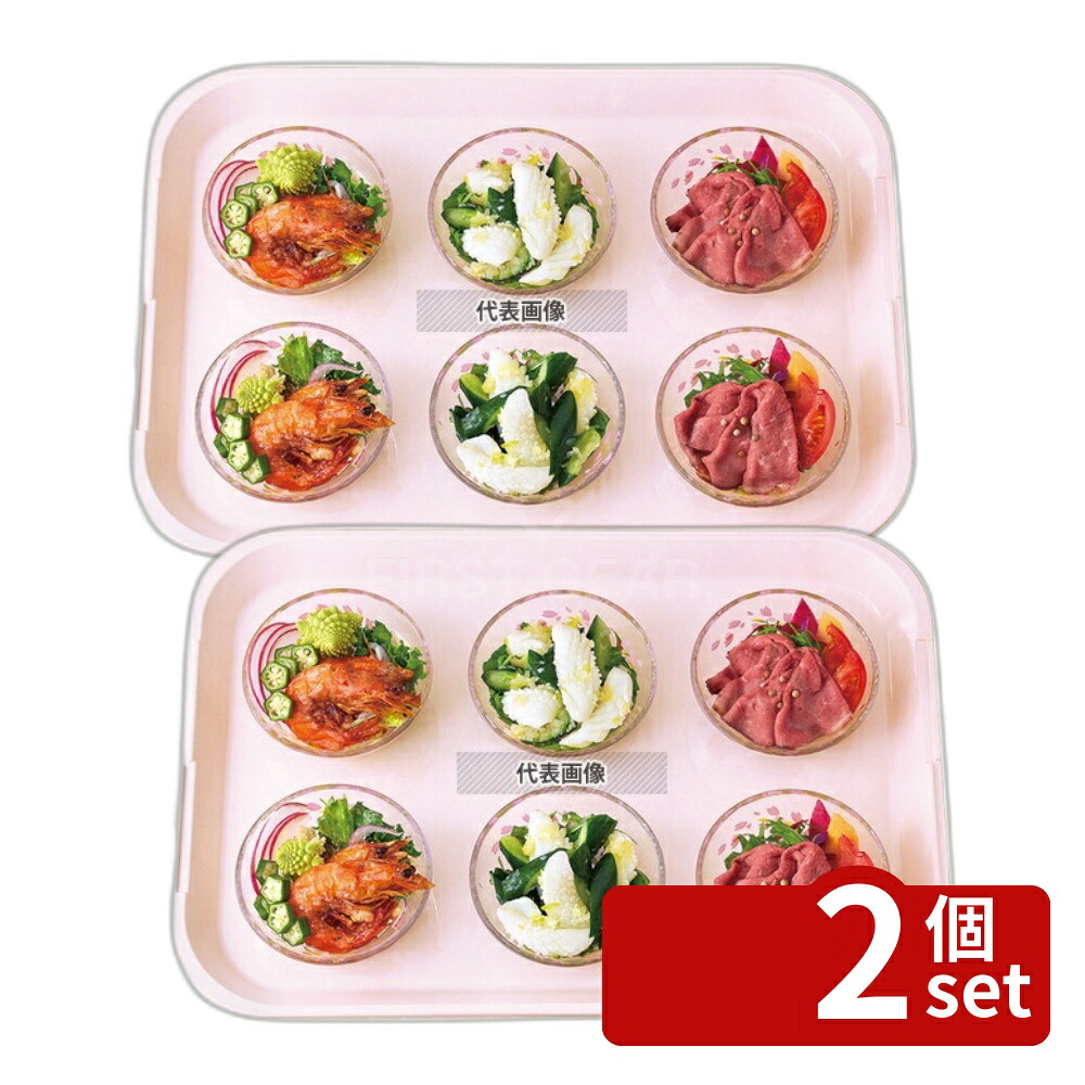 【2個セット】関東プラスチック工業 FRP プリセットトレー H-6000 440×310×H28 440×310 トレー カフェ/サービス用品/トレー No.1018300