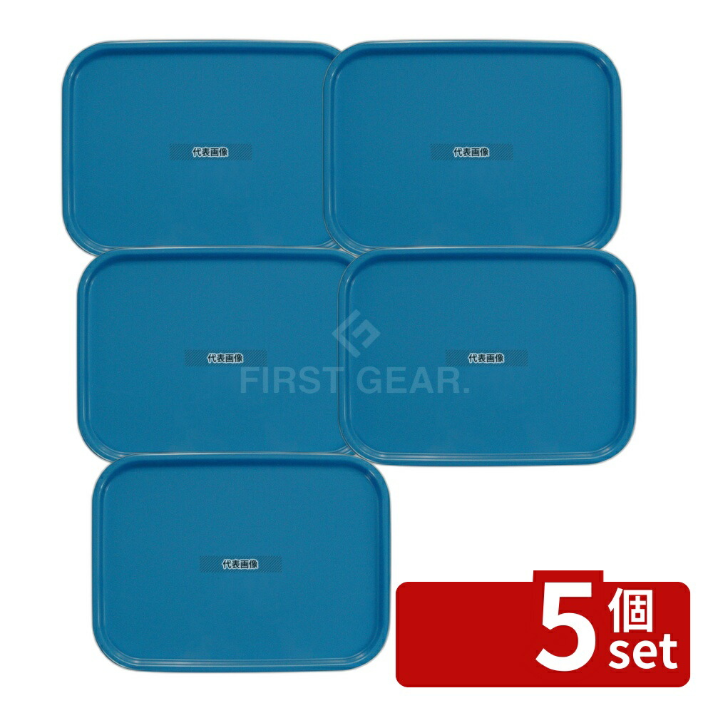 【5個セット】橋本達之助工芸 カラーコレクショントレー L アクアブルー 420×310×H18mm No.1107500