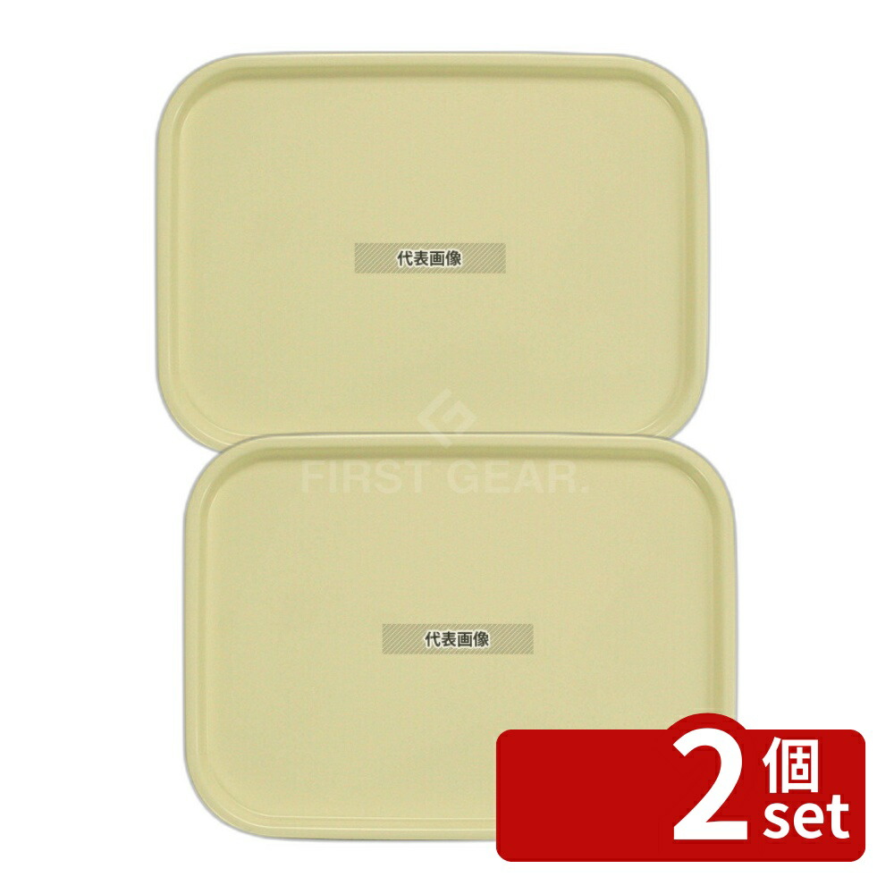 【2個セット】橋本達之助工芸 カラーコレクショントレー L ベージュ 420×310×H18mm No.1107800