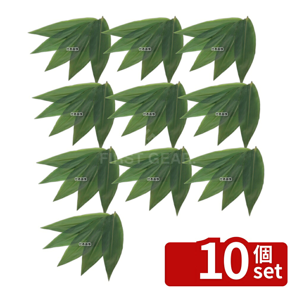 【10個セット】江部松商事 天然笹葉 (100枚入) 5143 7L/8L 約70～90×約310 厨房消耗品 No.5282110