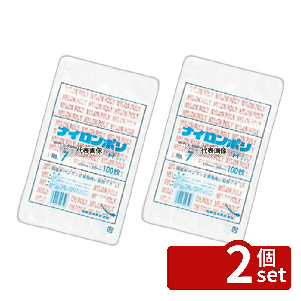 【2個セット】福助工業 ナイロンポリ Hタイプ (100枚入) No.9B 160×250 160×250 厨房消耗品 No.5535490