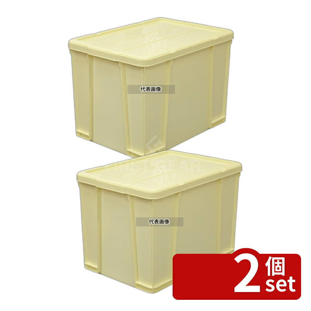 【2個セット】RISU(リス) ポリプロピレン 角型 漬物樽 S90型 (押し蓋付) 90L 625×443×H435mm ストックポット/保存容器 No.6318910