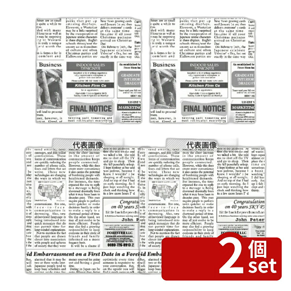 【2個セット】アーテック ラミニュースペーパー (300枚入) 195×215mm RP-N195E 195×215 ディスプレイ用品 No.4432921