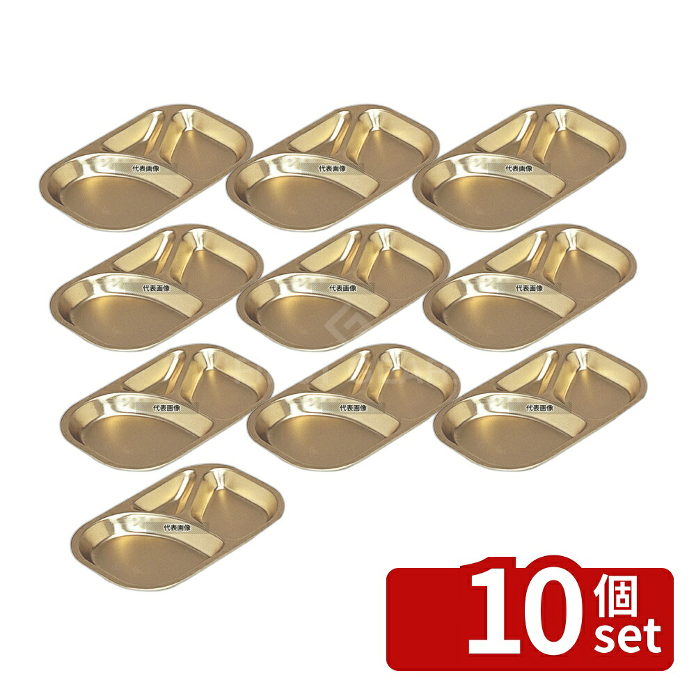 【10個セット】オオイ金属 蓚酸アルマイト ランチ皿 長方型 (3食) 115 305×200×24 305×200×H24 和/洋/中 食器 No.8090500