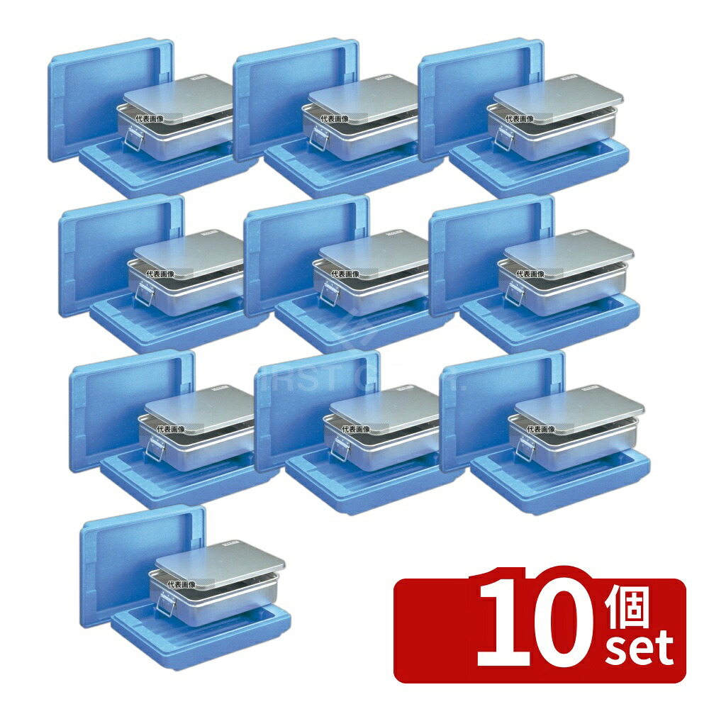【10個セット】セキスイ エスレンコンテナー N-25-A 630×410×H185 コンテナー No.8775600|セミプロDIY店ファースト