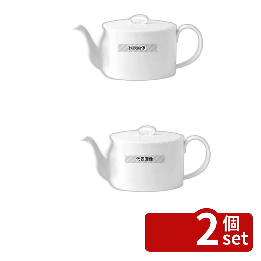 【2個セット】アシュラー ティーポット1L 5C113605110 1100ml 260×H120 和/洋/中 食器 No.7211960
