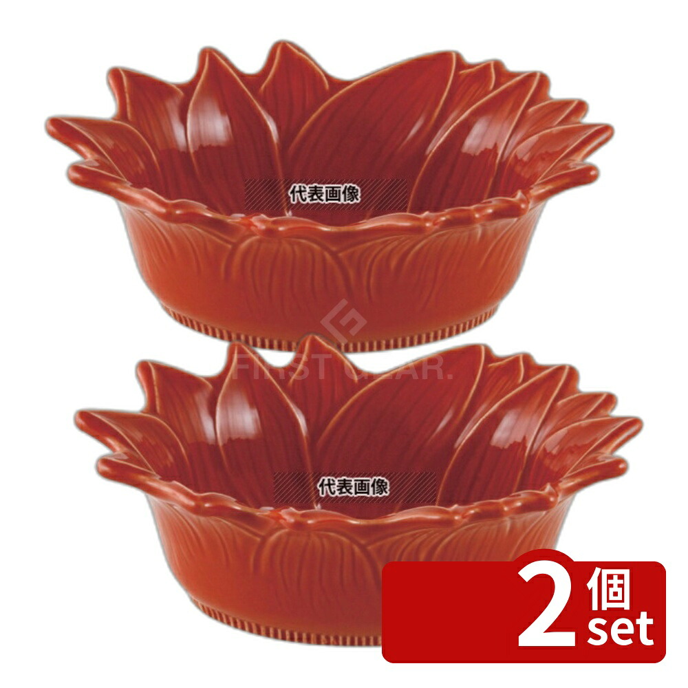 【2個セット】アポーリア サラダボール 22cm チェリー 070222010 0.7L 220×170×H70 ブランドキッチンコレクション No.7291630
