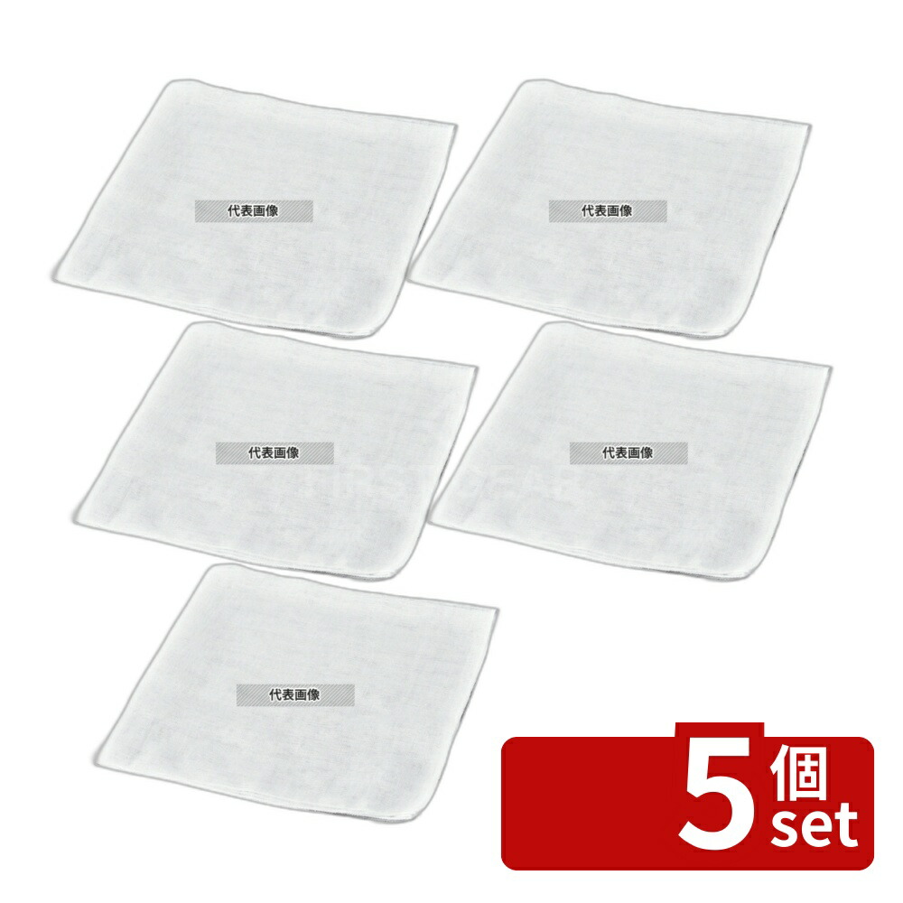 【5個セット】EBM(江部松) カットガーゼ (10枚入) 45×45cm 450×450 ガーゼ No.7345020