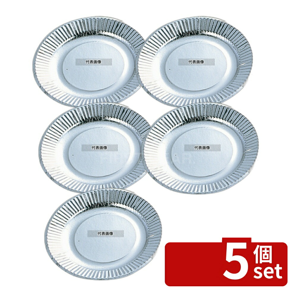【5個セット】三和紙工 紙皿 (100枚入) シルバープレート 05073 6号 φ145 厨房消耗品 No.7524500
