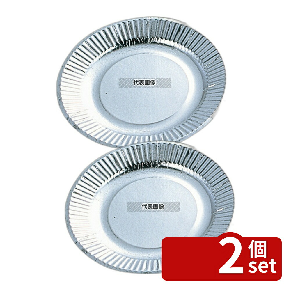 【2個セット】三和紙工 紙皿 (100枚入) シルバープレート 05076 9号 φ230 厨房消耗品 No.7524800 8,347円