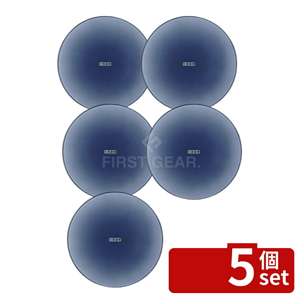 【5個セット】レヴォル エキノクス ディナープレート 28cm シーラスブルー 649500 φ280×H33 和/洋/中 食器 No.7719850