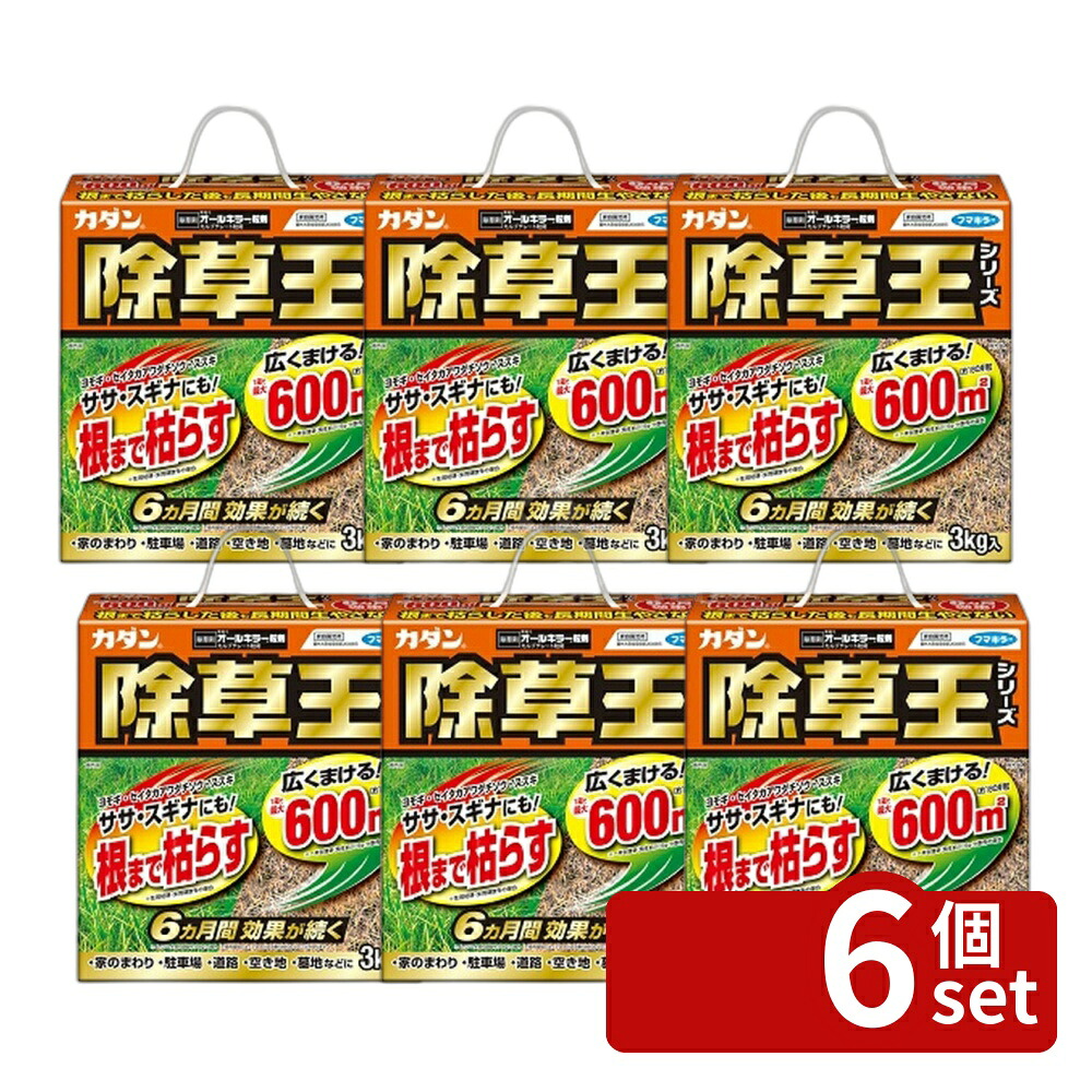 【6個セット】フマキラー カダン 除草王 オールキラー粒剤 3kg [4902424450101] 15,186円