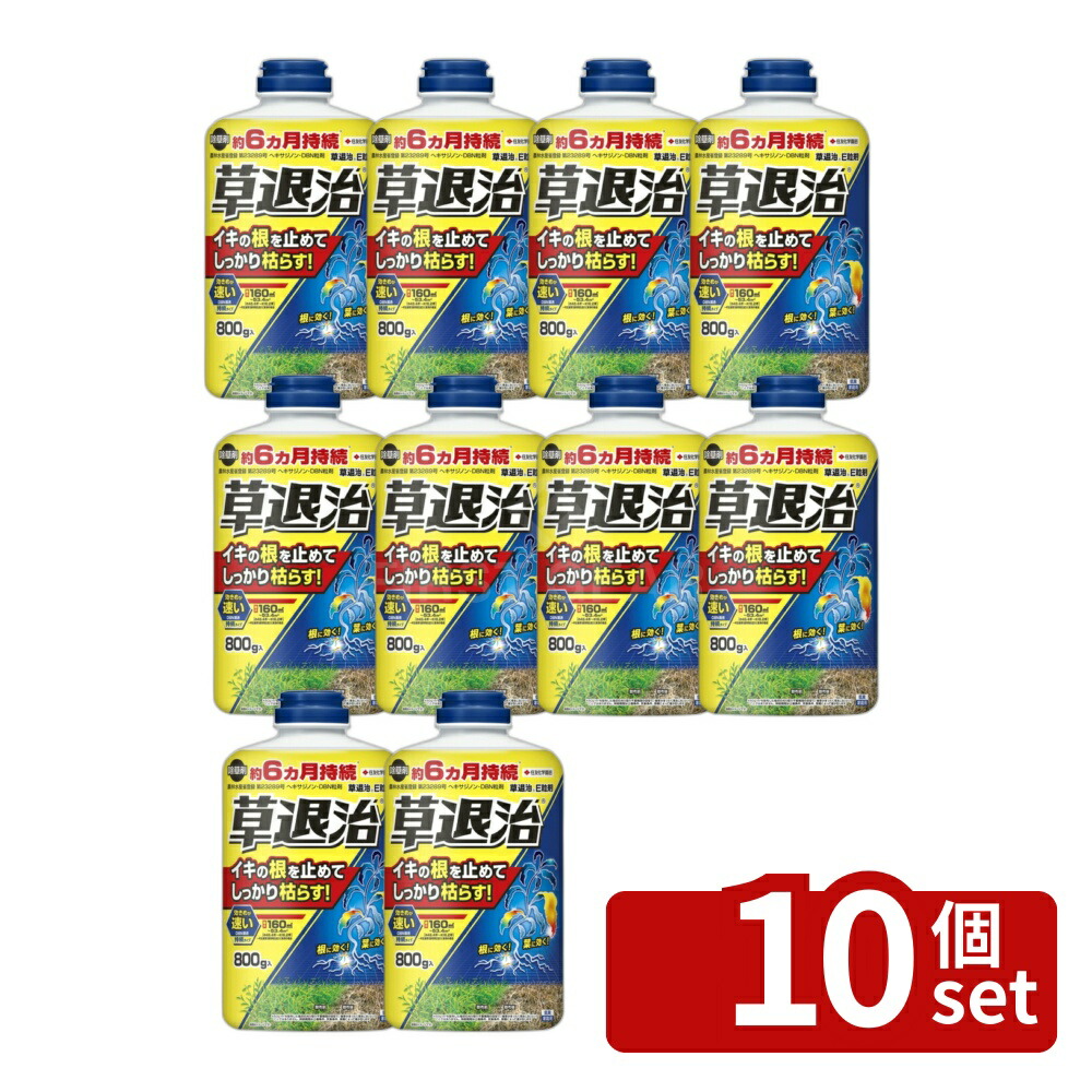 【10個セット】住友化学園芸 草退治E粒剤 800g [4975292604594]