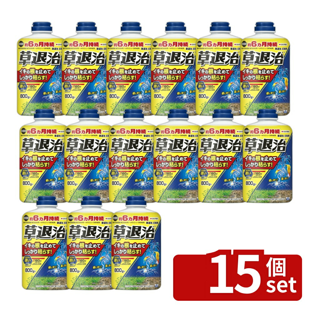 【15個セット】住友化学園芸 草退治E粒剤 800g [4975292604594]