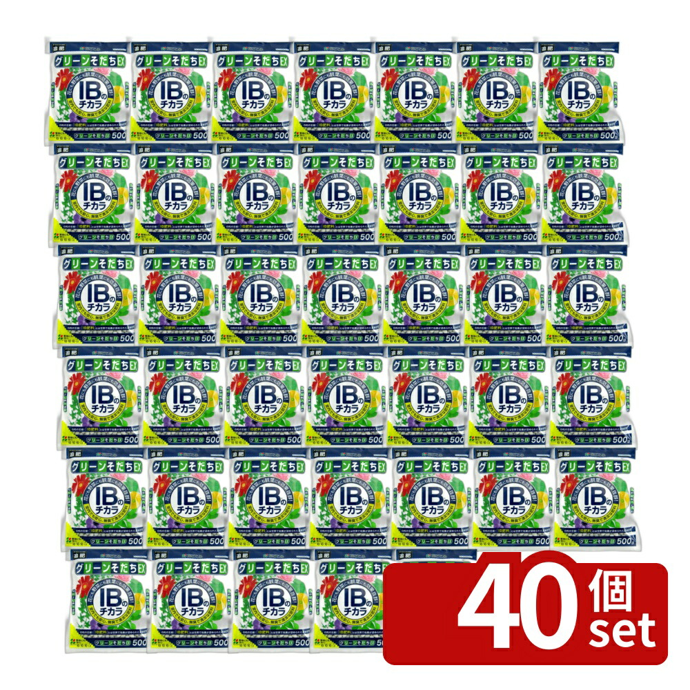 【40個セット】花ごころ IBのチカラグリーンそだちEX 500g 肥料 [4977445053907]