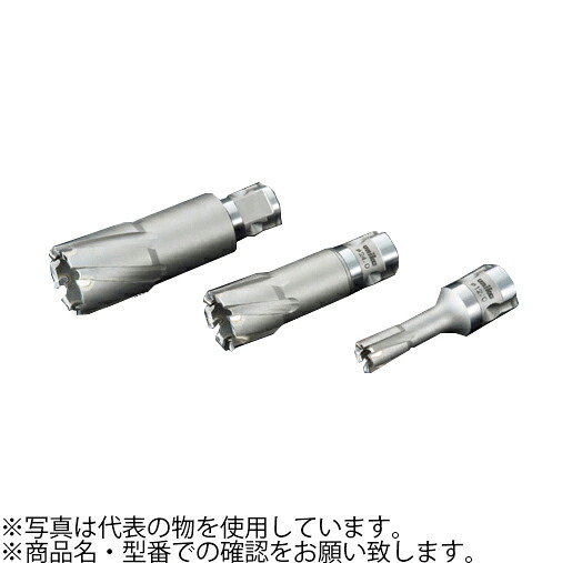 ガーデニング特集 芝刈り機が今一般受けです 電動工具本体-DIY・工具