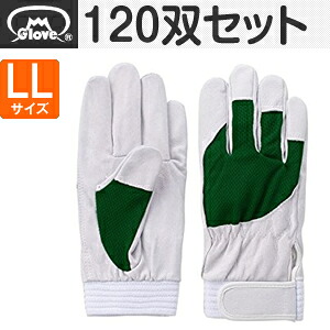 富士グローブ 皮手袋 アスリート F-505 豚皮クレスト グリーン LLサイズ[5889] 1箱120双セット :FG8904｜セミプロＤＩＹ店ファースト