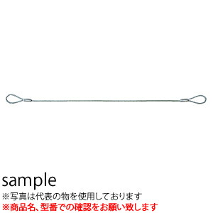 ニッサ　ディスプレイガード　S-312　ワイヤータイプ　600mm　『入数：5パック』25個価格　両アイ加工