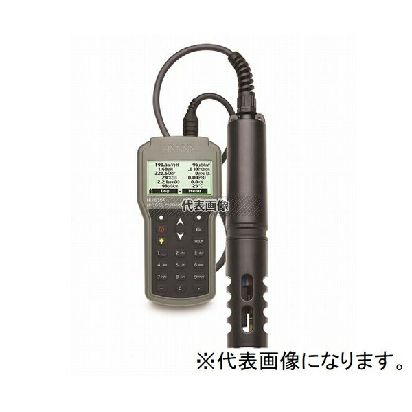 ハンナ インスツルメンツ・ジャパン ポータブル多項目計20mケーブル付 HI 98194/20