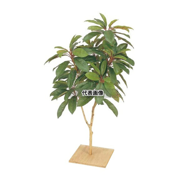 タカショー GD-11S 21610900 ユズリハ板付 90cm 室内用 人工植物 観葉 GD-11S [法人限定]｜セミプロＤＩＹ店ファースト