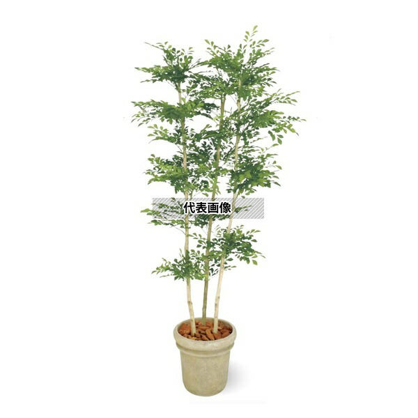 タカショー GD-156 33432200 トネリコ 3本立 1.8m 大型人工樹 人工植物 観葉 GD-156 [法人限定]