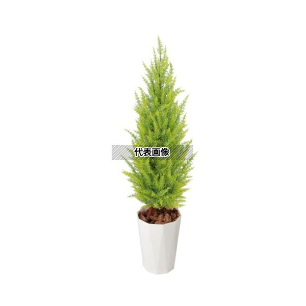 タカショー GD-188L 33436000 ゴールドクレスト ゴールド大1.5m 室内用 観葉植物 人工植物 トピアリー GD-188L [法人限定]｜セミプロＤＩＹ店ファースト