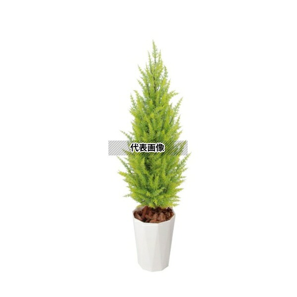 タカショー GD-188LL 33430800 ゴールドクレスト ゴールド 1.7m 室内用 観葉植物 人工植物 トピアリー GD-188LL [法人限定]