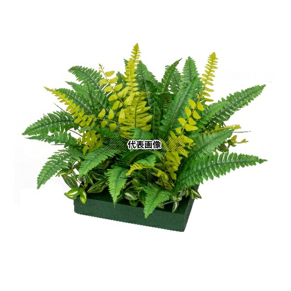 タカショー GD-216 33550300 山里セット シダ草 室内用人工植物 フェイクグリーン GD-216 [法人限定]｜セミプロＤＩＹ店ファースト