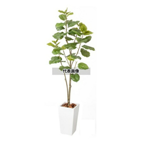 タカショー GD-230S 33384400 ウンベラータ 1.8m 室内用 観葉植物 人工植物 GD-230S [法人限定]