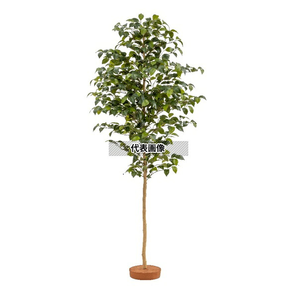 タカショー GD-244L 33520600 ツバキ 鉢無 1.8m 人工植物 観葉 庭園 GD-244L [法人限定]